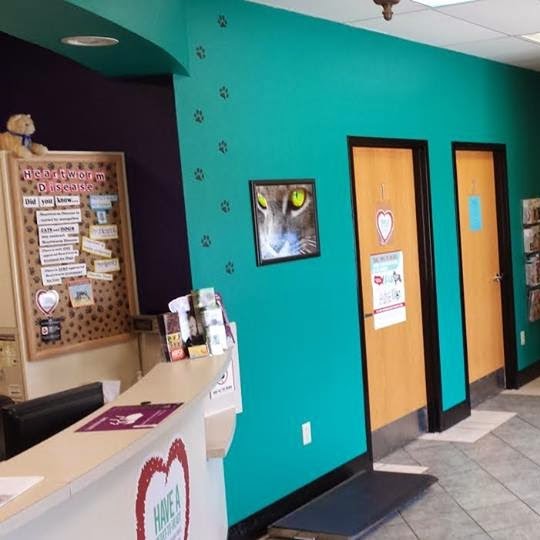 Star Veterinary Wellness And Urgent Care Center - Franklin , United States