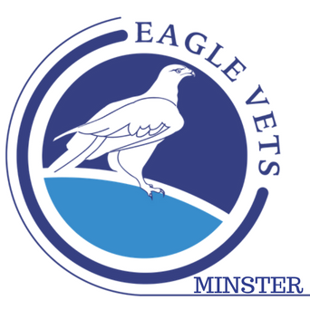 Medivet Minster - Ramsgate , United Kingdom