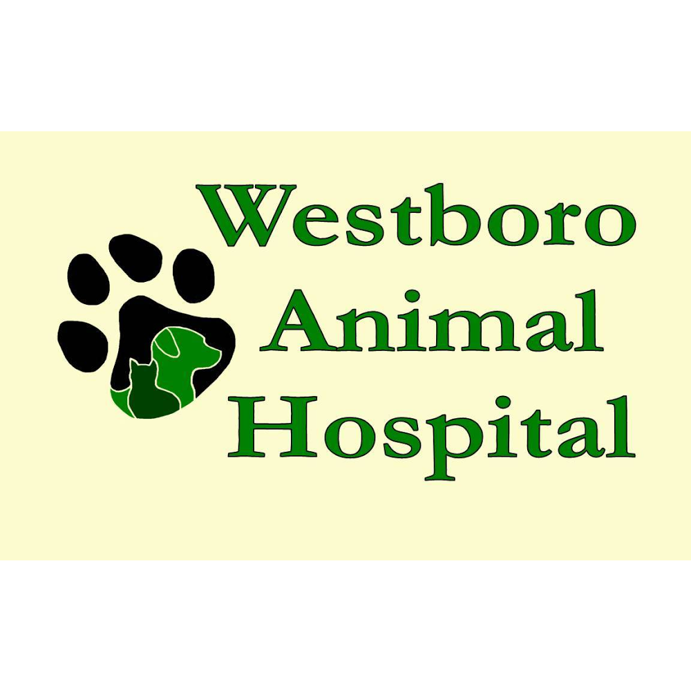 Westboro Animal Hospital - Ottawa , Canada
