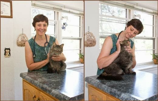 Cat Care Clinic - Mahtomedi , United States