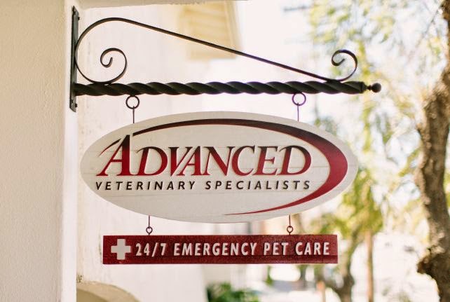Advanced Veterinary Specialists - Santa Barbara , United States