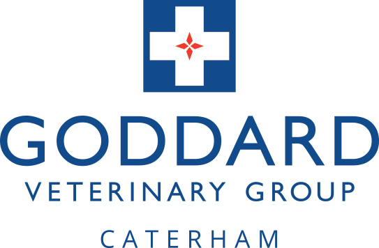 Goddard Veterinary Group Caterham - Caterham , United Kingdom