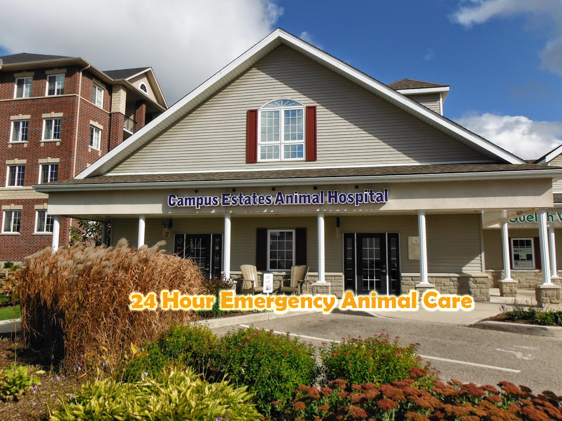 Campus Estates Animal Hospital - Guelph , Canada