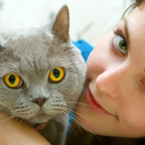 Serrano Animal And Bird Hospital - Lake Forest , United States