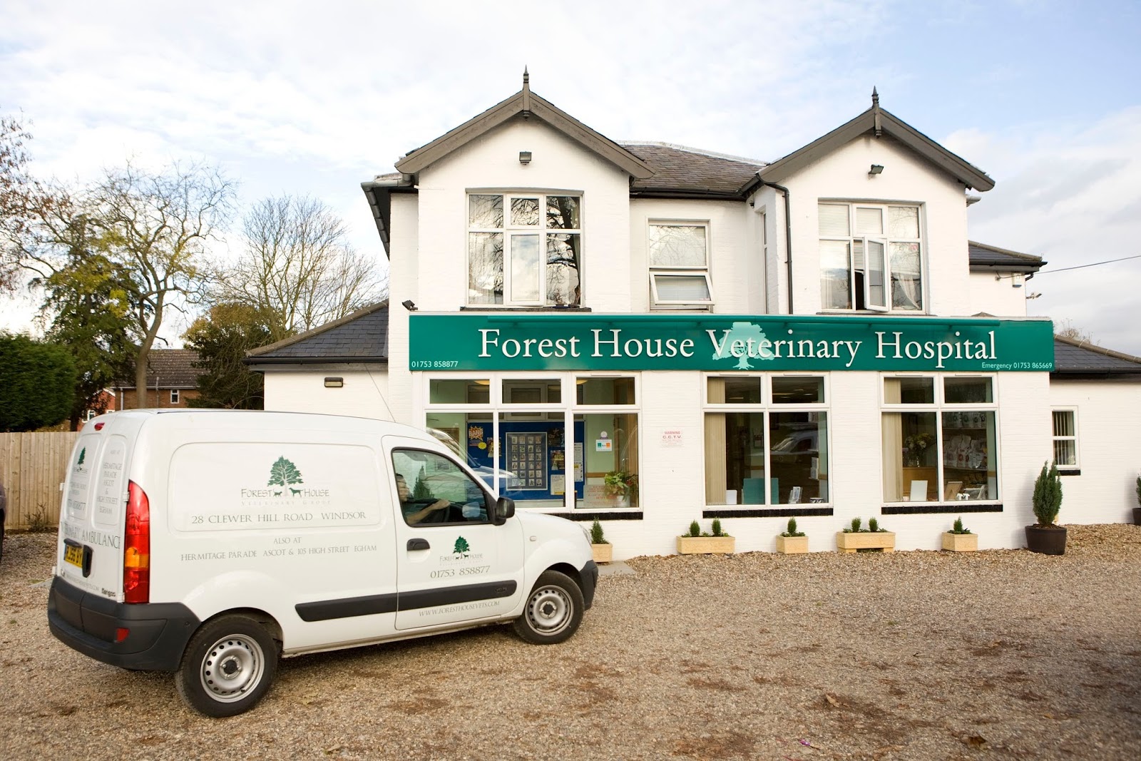 Forest House Veterinary Group Windsor - Windsor , United Kingdom