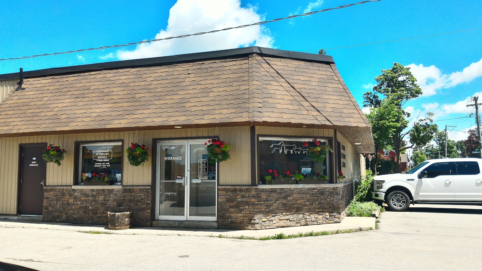 Markdale Veterinary Services - Markdale , Canada