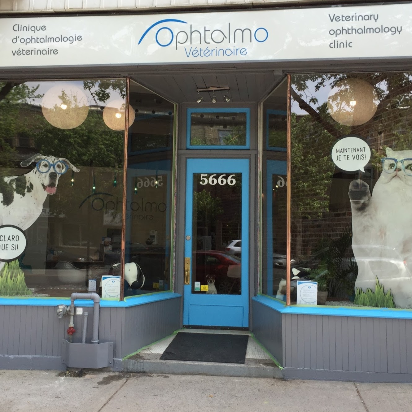 Clinique Vétérinaire Dophtalmologie Ophtalmo Vétérinaire - Montreal , Canada