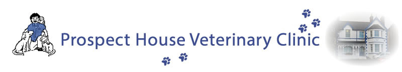Prospect House Veterinary Clinic And Hospital - Colwyn Bay , United Kingdom