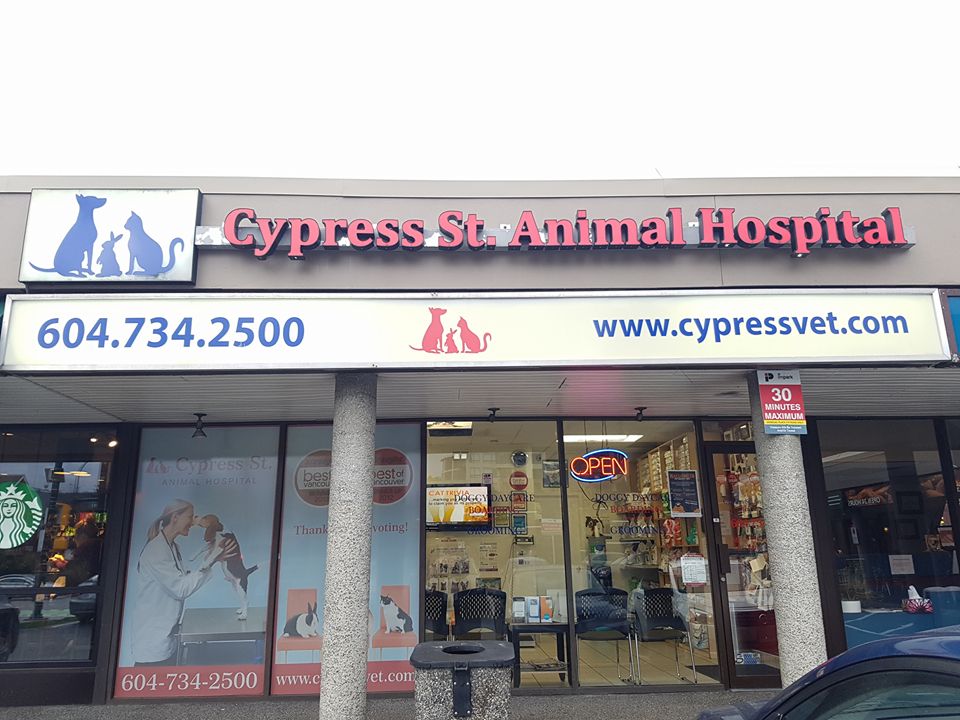 Cypress St Animal Hospital Vancouver - Vancouver , Canada