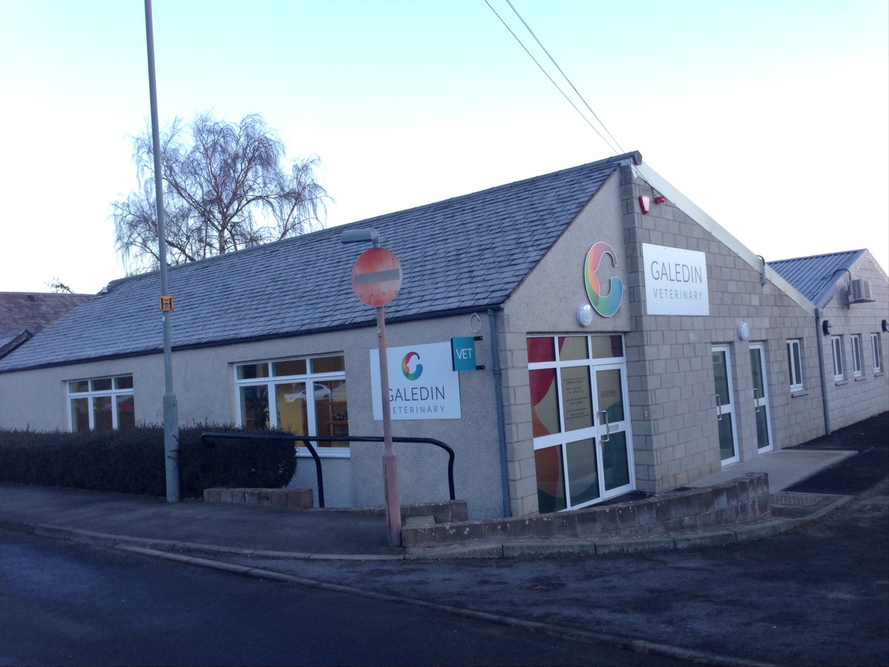 Galedin Vets Kelso - Kelso , United Kingdom