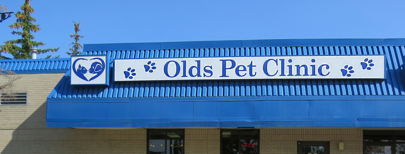 Olds Pet Clinic - Olds , Canada