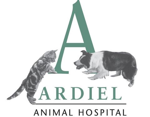 Ardiel Animal Hospital - Meaford , Canada