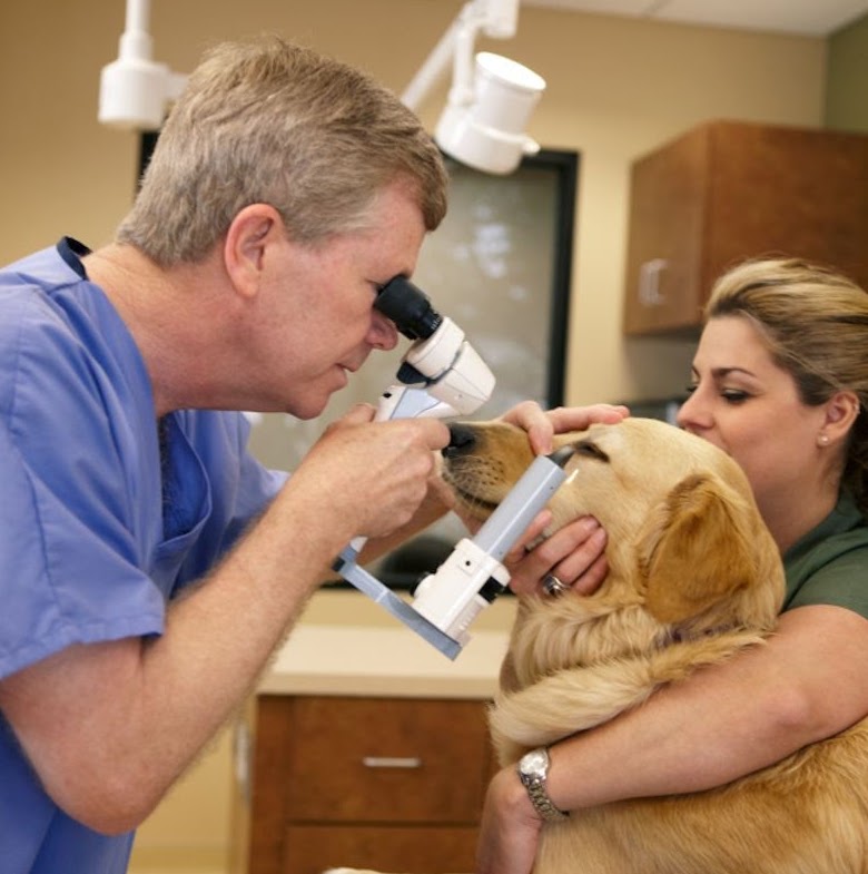 Animal Eye Clinic - Arlington , United States