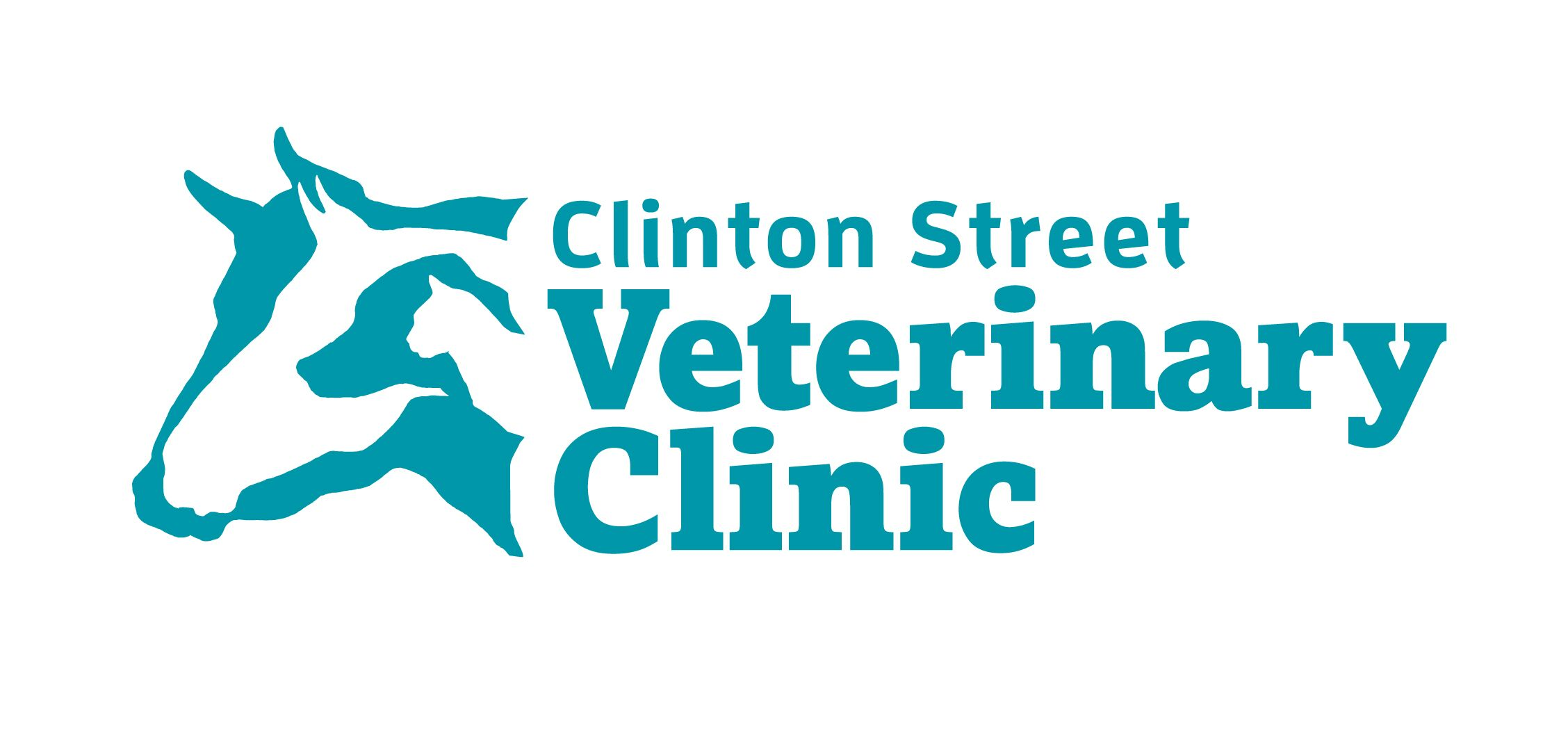 Clinton Street Veterinary Clinic - Goulburn , Australia