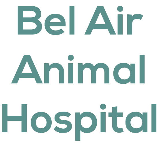 Bel Air Animal Hospital - Mobile , United States