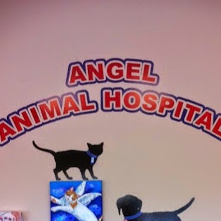 Angel Animal Hospital - Farmington Hills , United States
