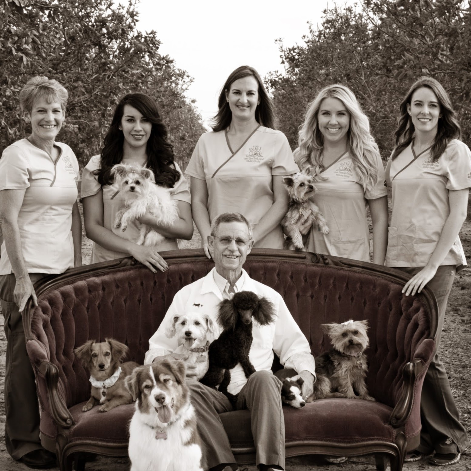 Cross Street Small Animal Veterinary Hospital - Tulare , United States