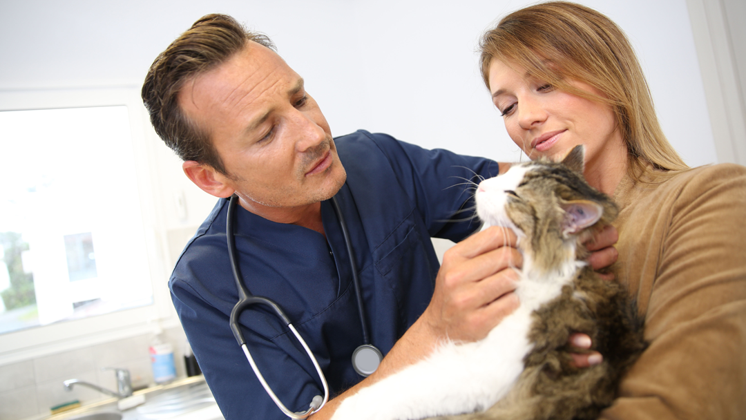 Spencer Creek Veterinary Clinic - Mount Sterling , United States
