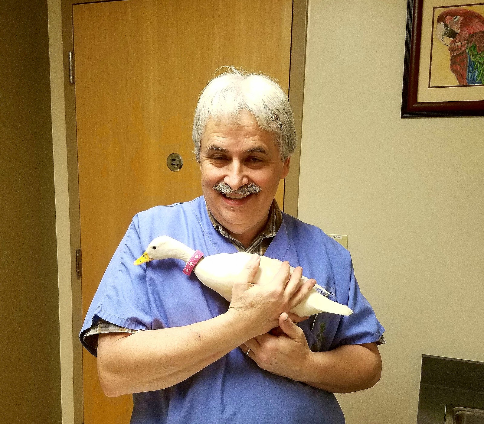 Des Moines Veterinary Hospital - Des Moines , United States