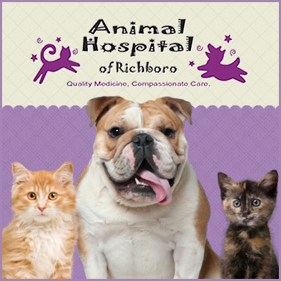 Animal Hospital Of Richboro - Richboro , United States
