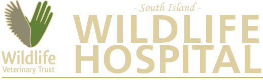 South Island Wildlife Hospital - Northwood , New Zealand