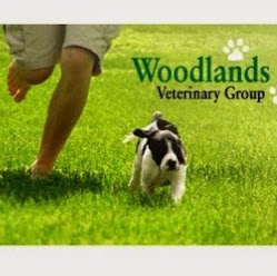 Woodlands Veterinary Group Ivybridge - Ivybridge , United Kingdom