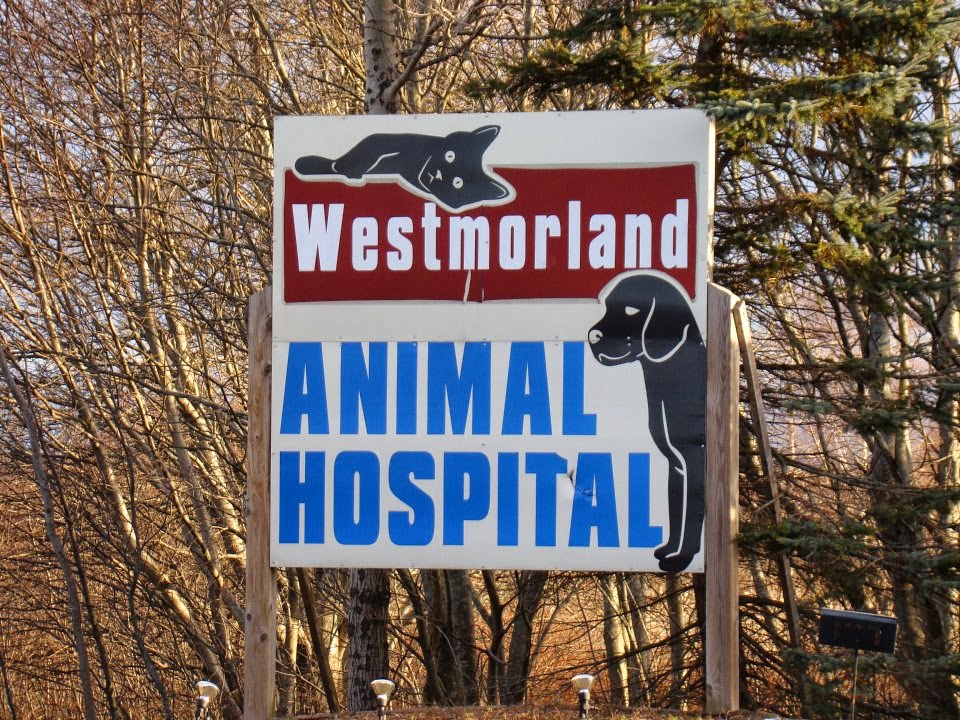 Westmorland Animal Hospital - Sackville , Canada