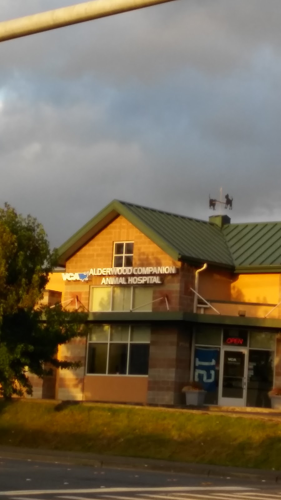 Vca Alderwood Companion Animal Hospital - Lynnwood , United States