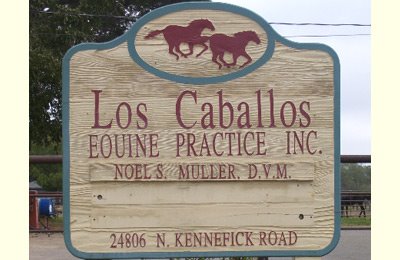 Los Caballos Equine Practice - Galt , United States