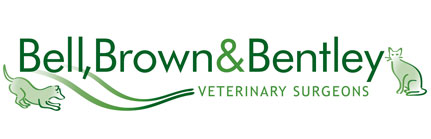 Bell Brown And Bentley Veterinary Surgeons - Leicester , United Kingdom