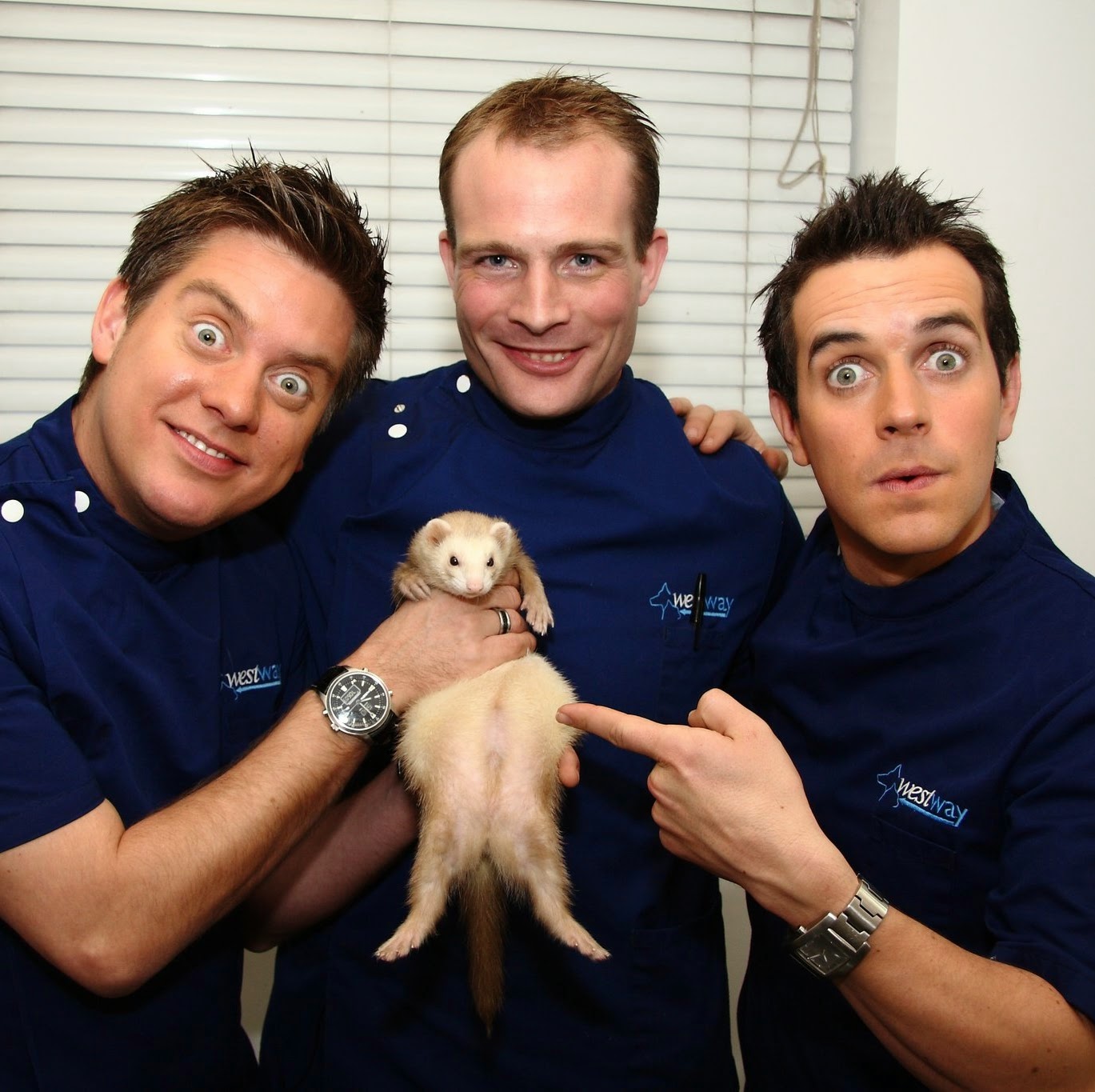 Westway Veterinary Hospital - Newcastle upon Tyne , United Kingdom