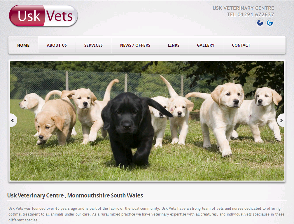 Usk Vets - Newport , United Kingdom