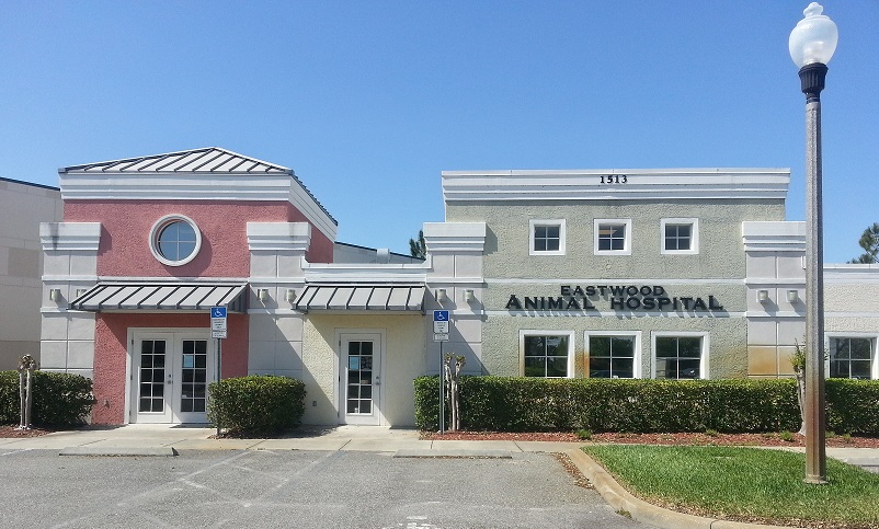 Eastwood Animal Hospital - Orlando , United States