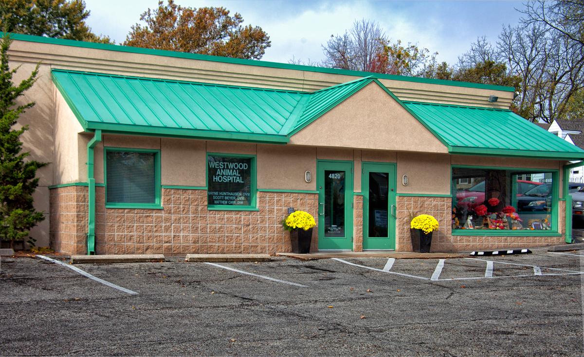 Westwood Animal Hospital - Westwood , United States