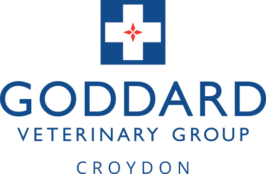Goddard Veterinary Group Croydon - Croydon , United Kingdom