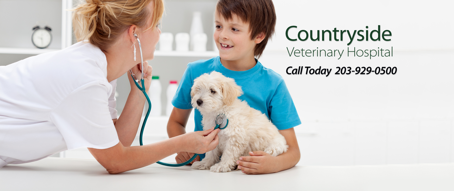 Countryside Veterinary Hospital - Shelton , United States