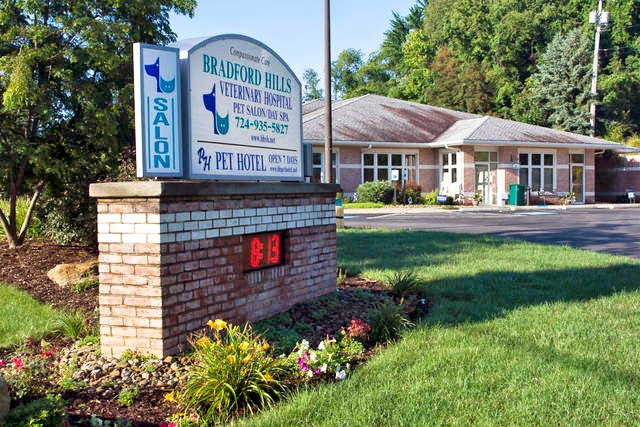 Bradford Hills Veterinary Hospital - Wexford , United States