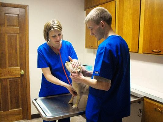 Clinton Animal Care Center - Wilmington , United States