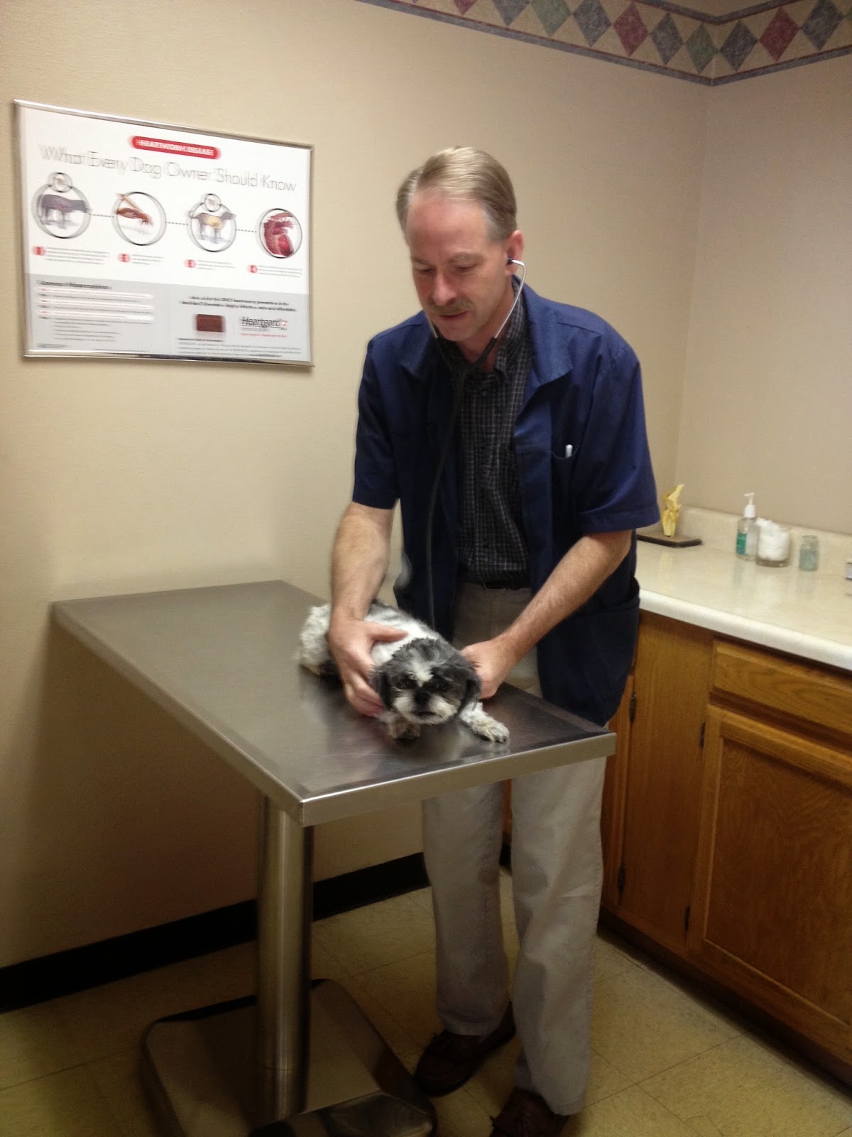 Carefree Animal Clinic - Colorado Springs , United States