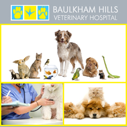 Baulkham Hills Veterinary Hospital - Baulkham Hills , Australia