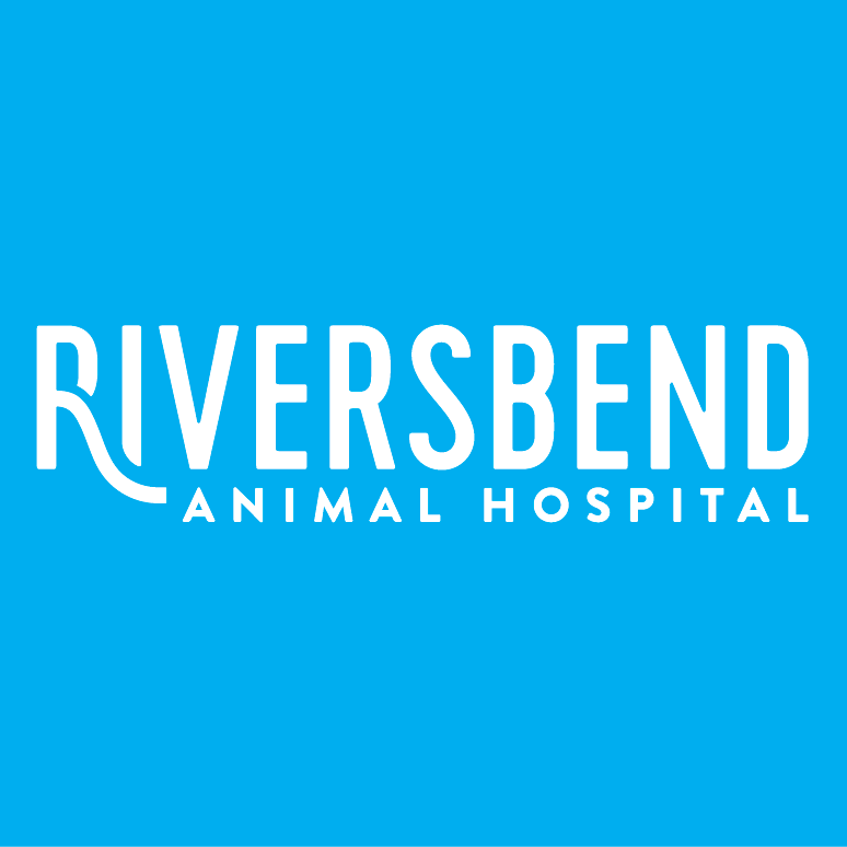 Riversbend Animal Hospital - Big Rapids , United States