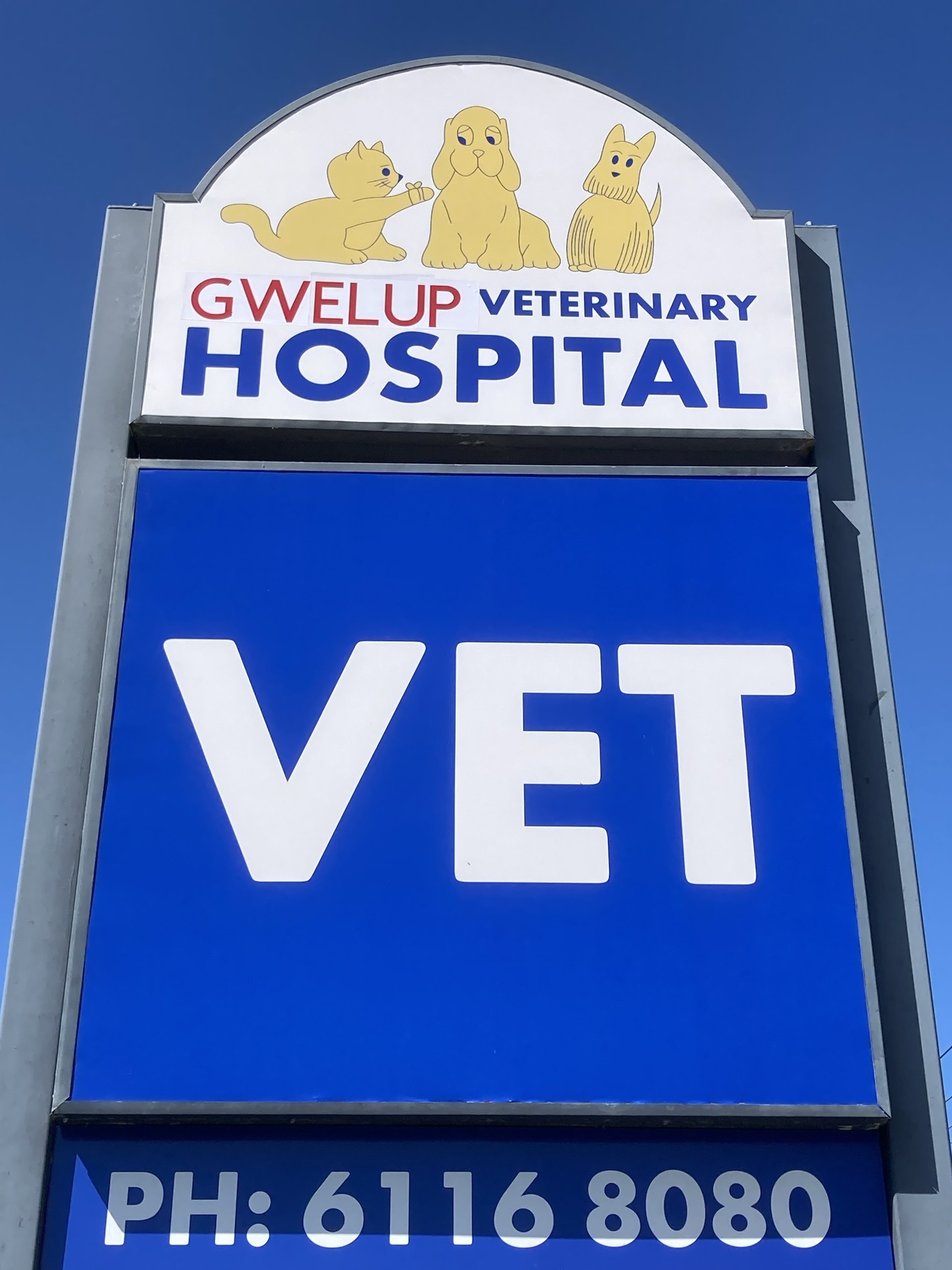 Gwelup Veterinary Hospital - Gwelup , Australia