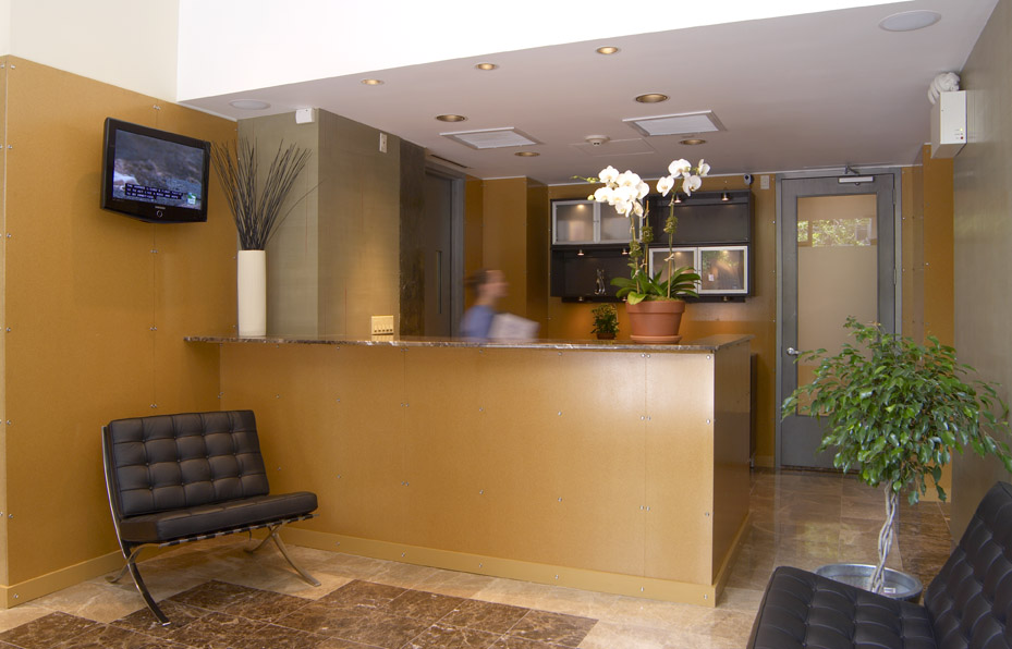New York Cat Hospital - New York , United States
