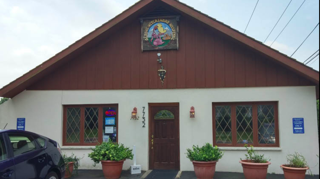 Alpine Veterinary Hospital - Cabin John , United States