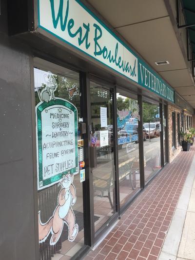 Boulevard veterinary hot sale clinic