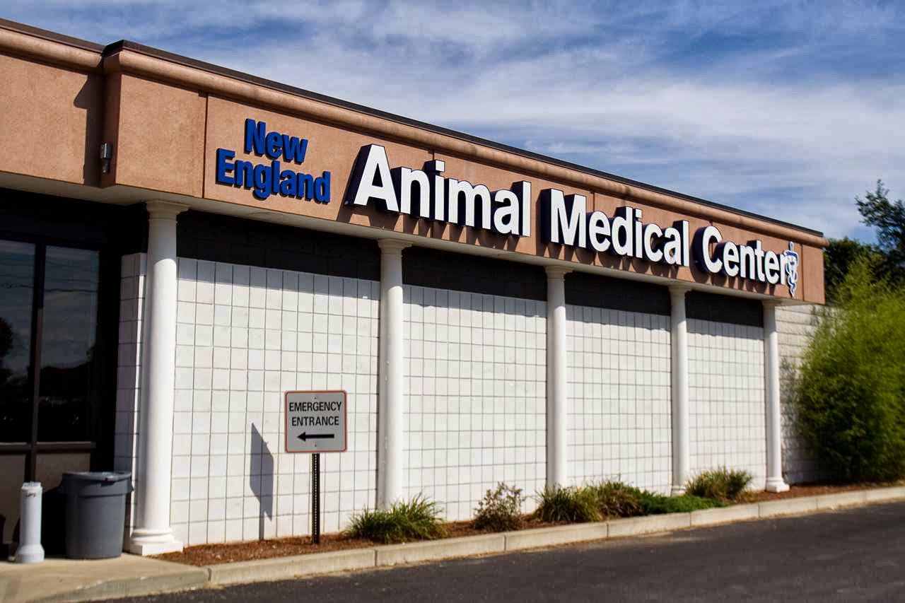New England Animal Medical Center - West Bridgewater , United States