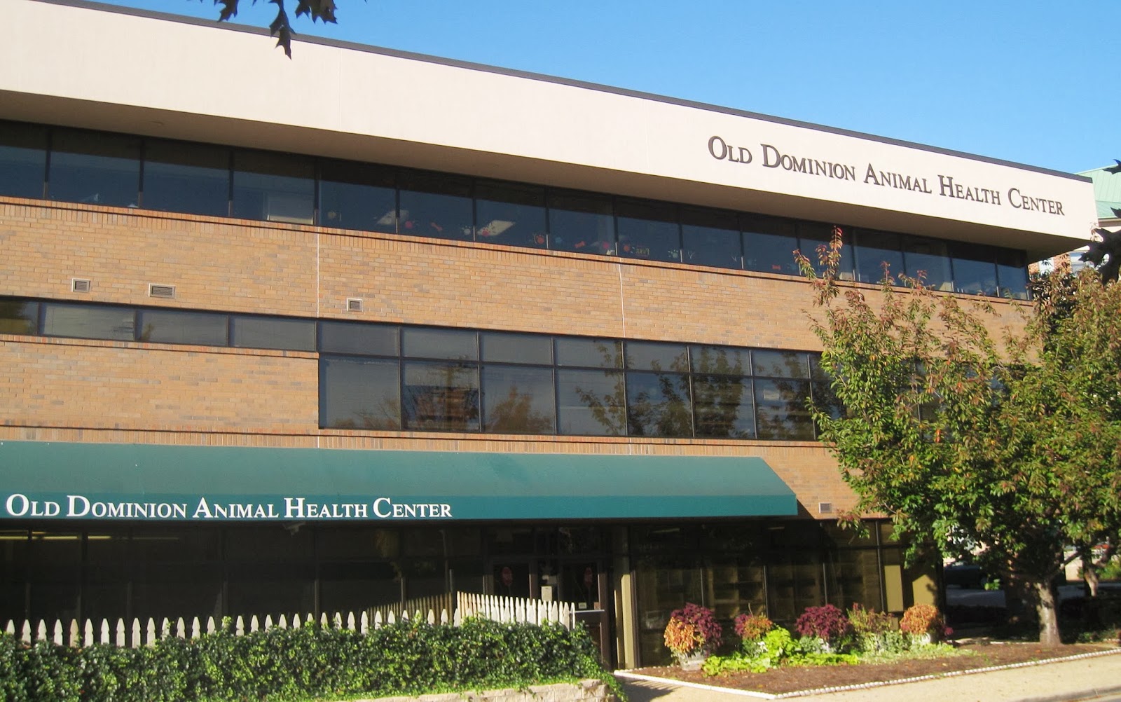 Old Dominion Animal Health Center - McLean , United States