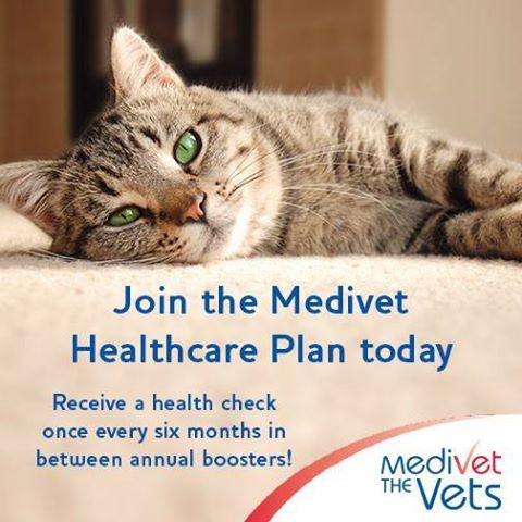 Medivet Canford Heath - Poole , United Kingdom