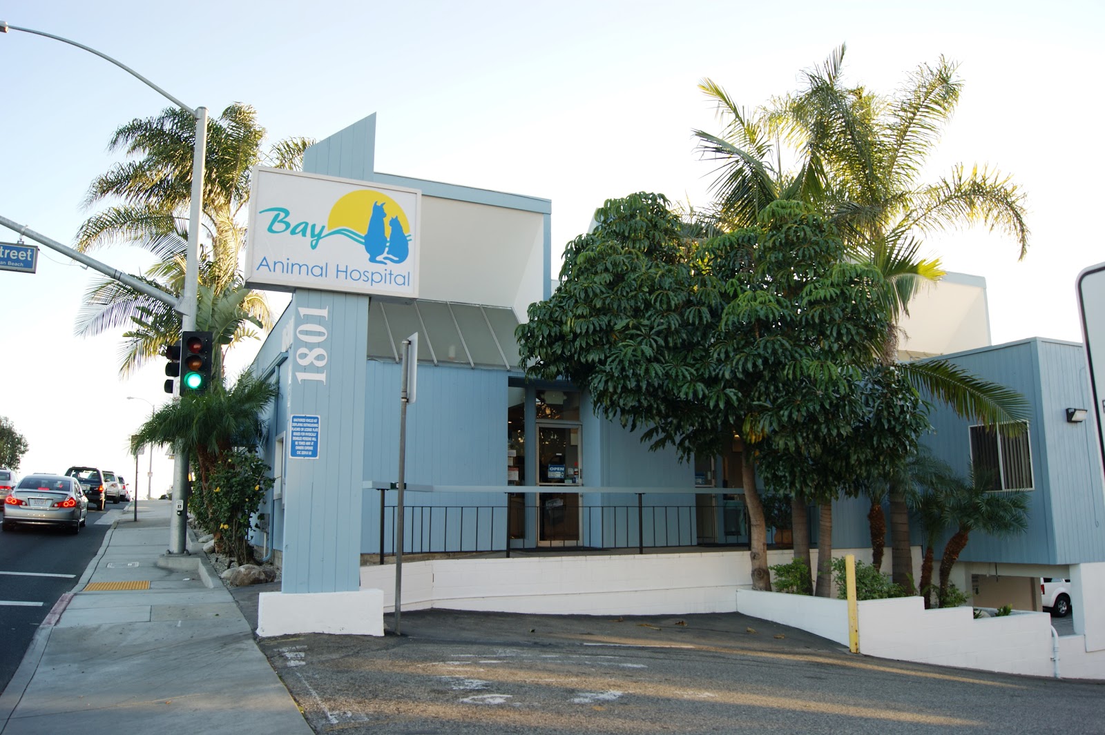 Bay Animal Hospital - Manhattan Beach , United States