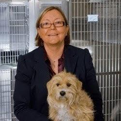 Vca Milwaukee Emergency Center For Animals - Greenfield , United States